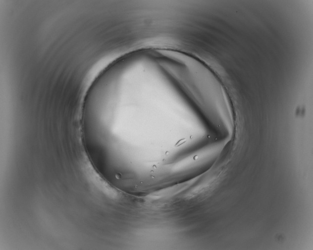 X0000113201248200909241350