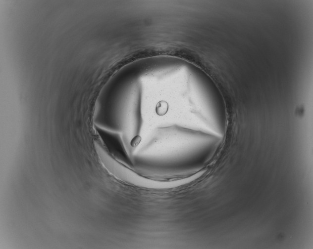 X0000113201249200909241350