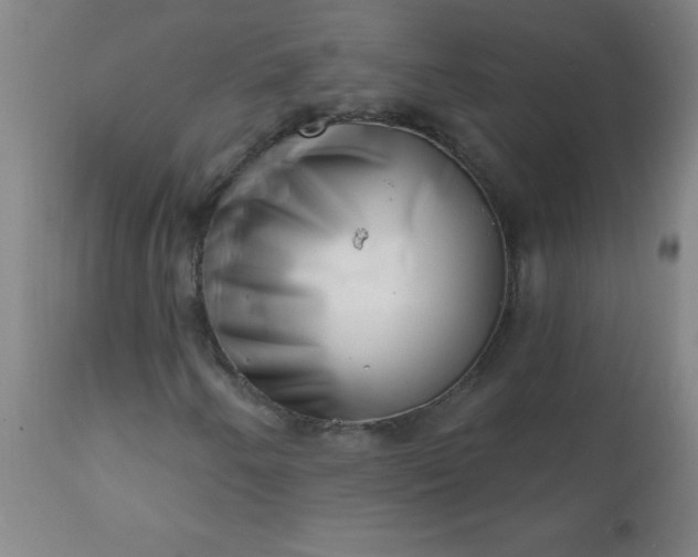 X0000113201250200909241350