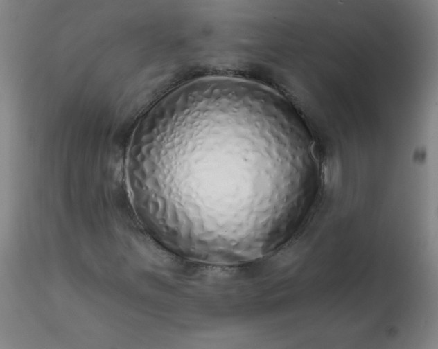 X0000113201251200909241350