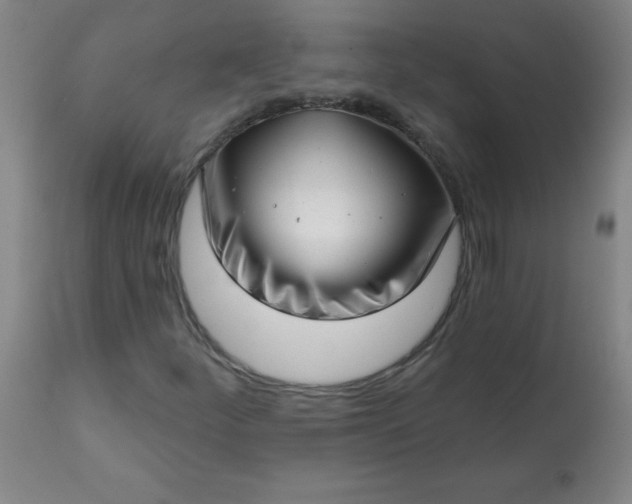 X0000113201252200909241350