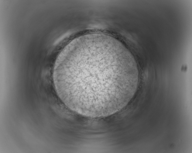 X0000113201254200909241350