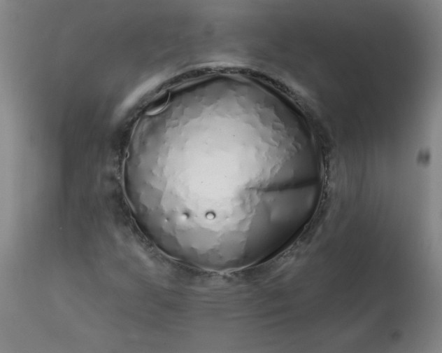 X0000113201255200909241350