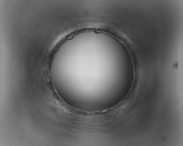 X0000113201256200909241350