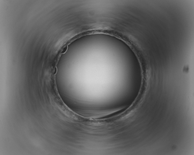 X0000113201257200909241350