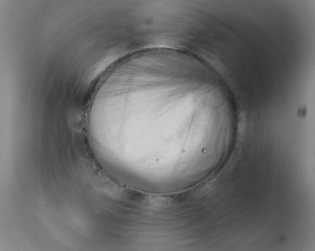 X0000113201258200909241350