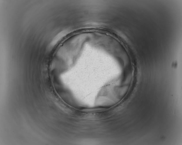 X0000113201259200909241350