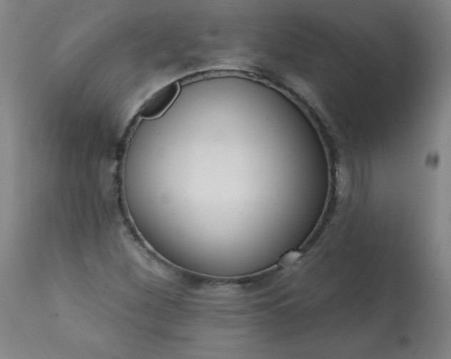 X0000113201260200909241350