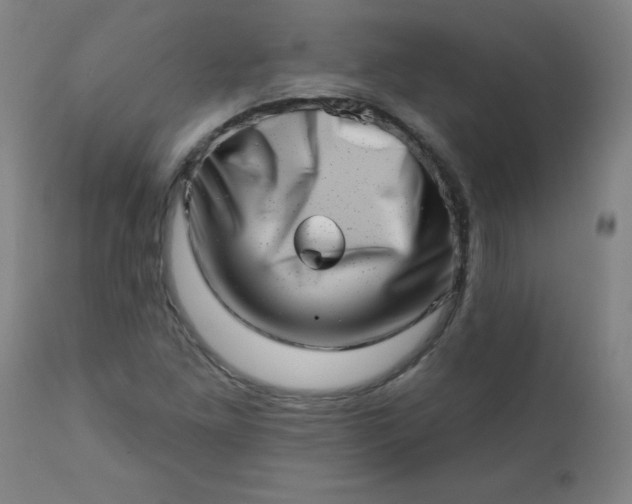 X0000113201261200909241350