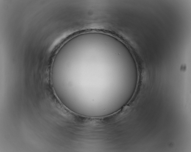 X0000113201262200909241350