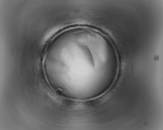 X0000113201263200909241349