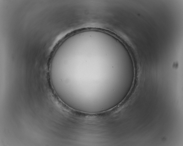 X0000113201264200909241349