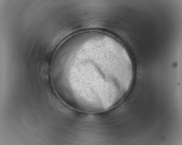 X0000113201265200909241349