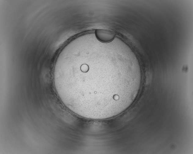 X0000113201266200909241349