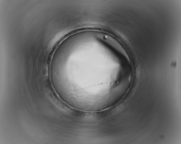 X0000113201267200909241349