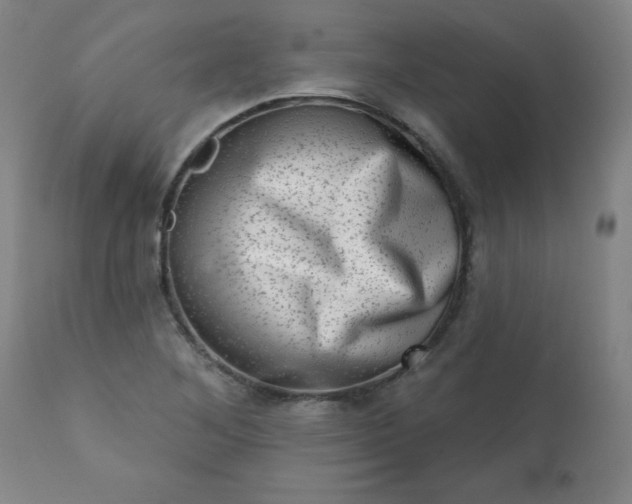 X0000113201268200909241349