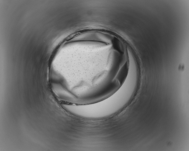 X0000113201269200909241349