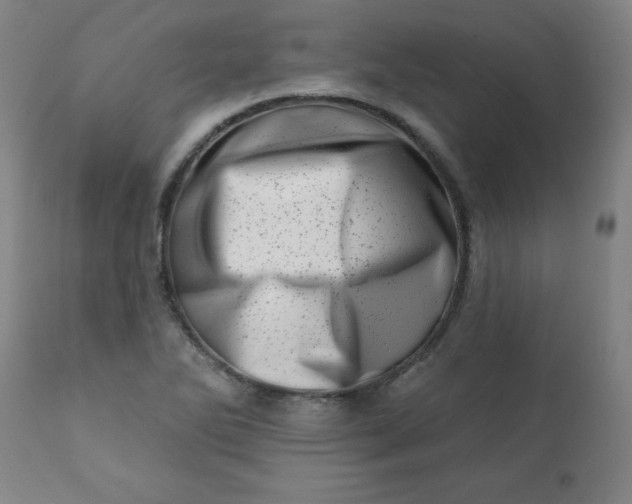 X0000113201270200909241349