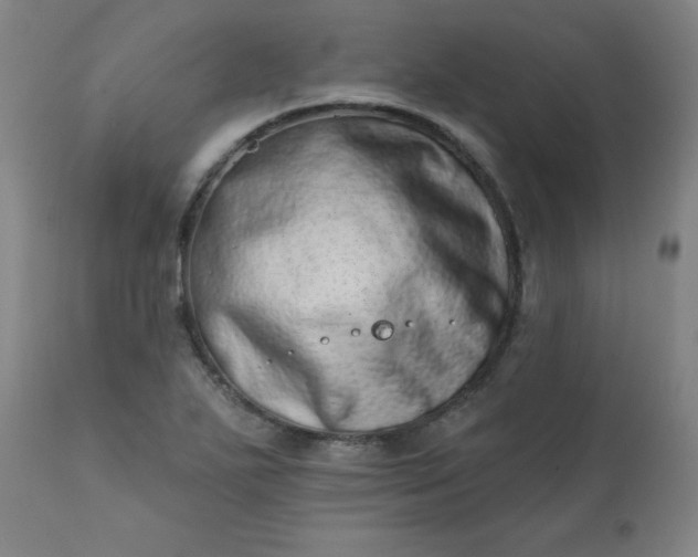 X0000113201271200909241349