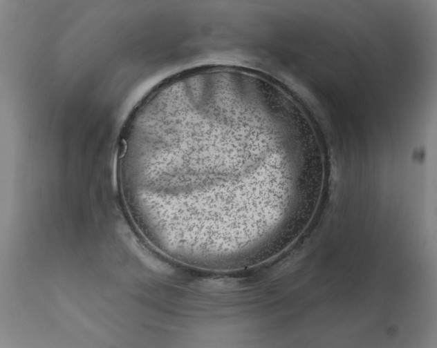 X0000113201272200909241349