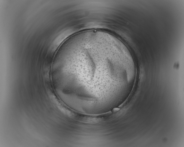 X0000113201273200909241349