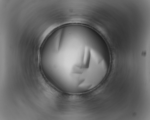 X0000113201275200909241349