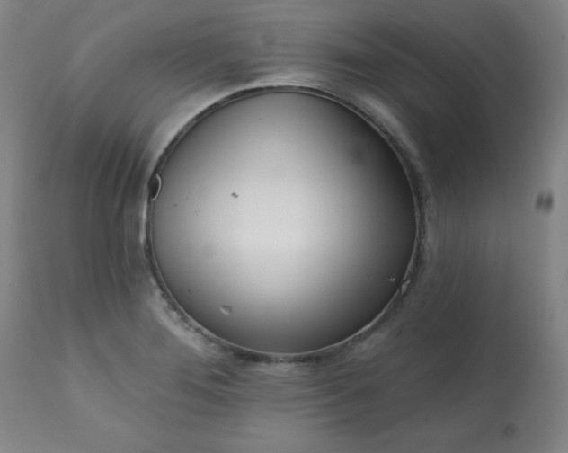 X0000113201276200909241349