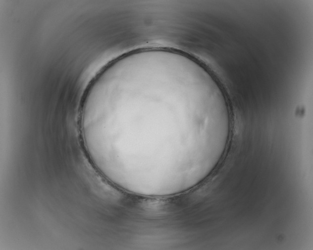 X0000113201278200909241349