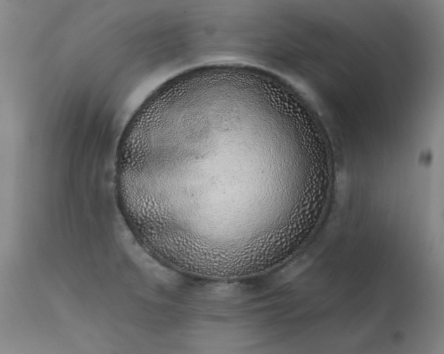 X0000113201279200909241349