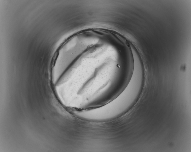 X0000113201280200909241349