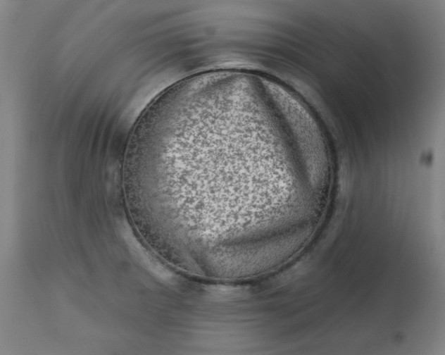 X0000113201281200909241349