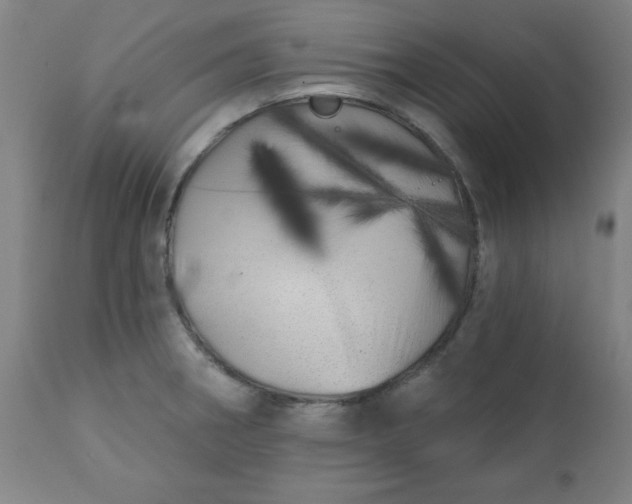 X0000113201282200909241349