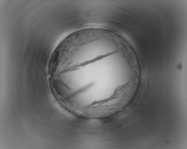 X0000113201283200909241349