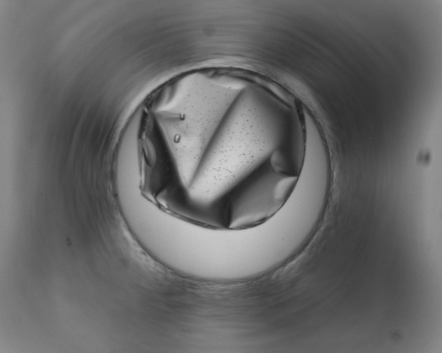 X0000113201284200909241349