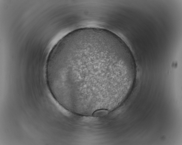 X0000113201285200909241349