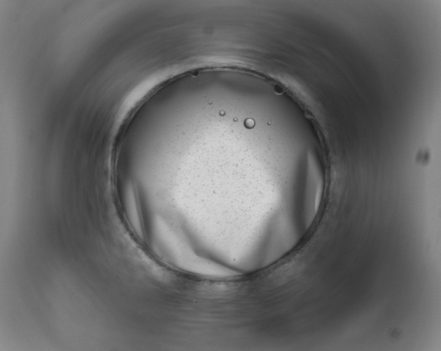 X0000113201286200909241349