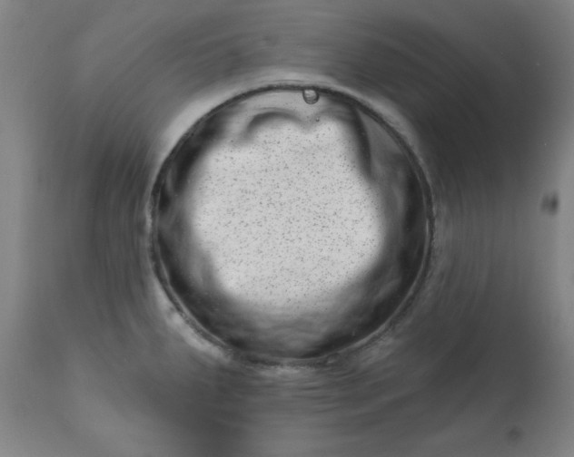 X0000113201287200909241349