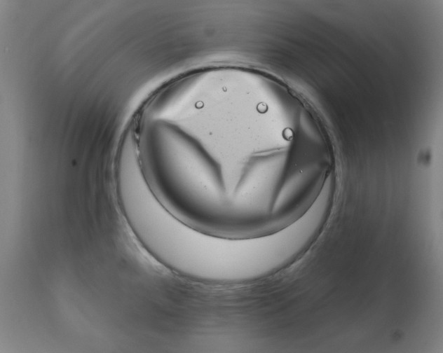 X0000113201288200909241349