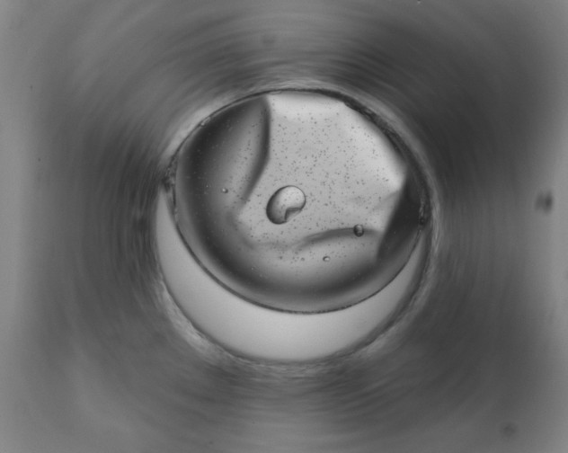 X0000113201289200909241349