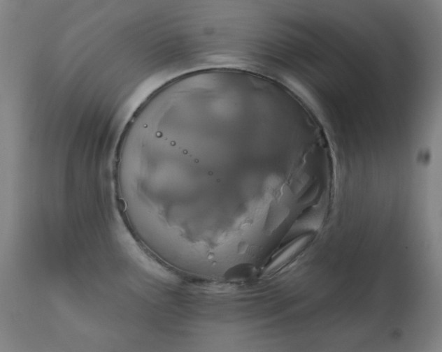 X0000113201291200909241349