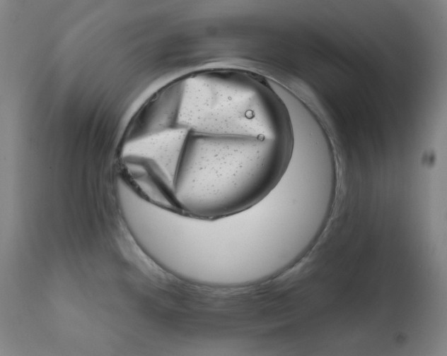 X0000113201292200909241349