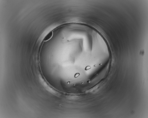 X0000113201293200909241349