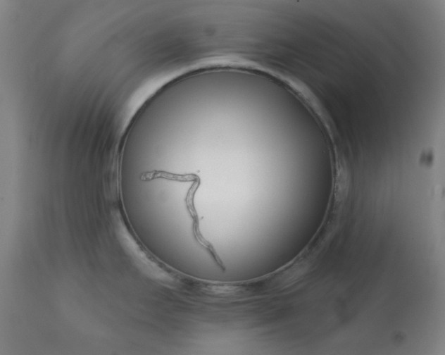 X0000113201295200909241349