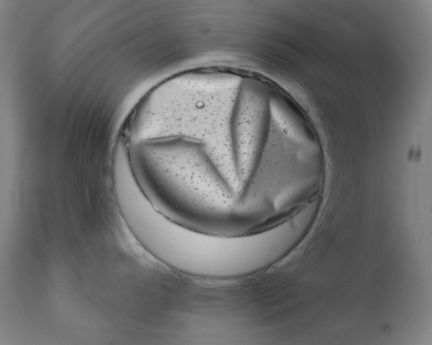 X0000113201296200909241349