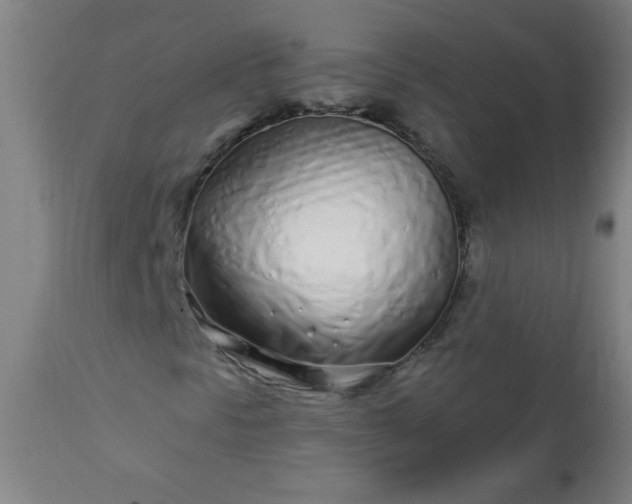 X0000113201297200909241348