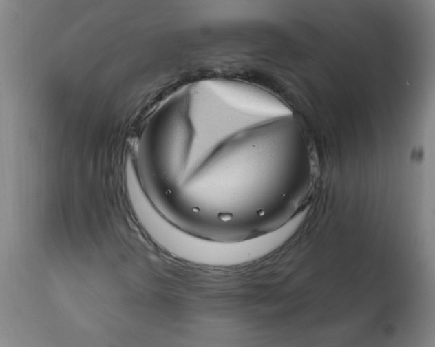 X0000113201298200909241348