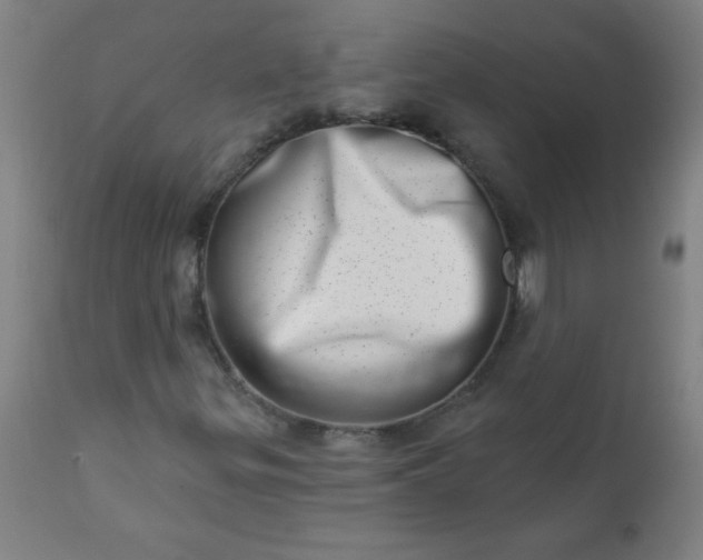 X0000113201299200909241348