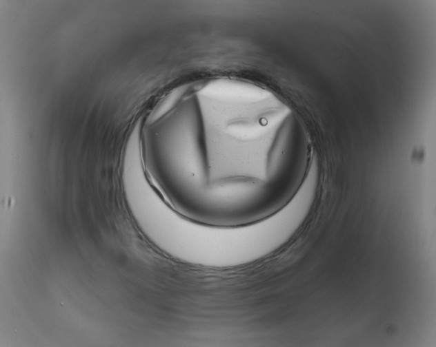 X0000113201300200909241348