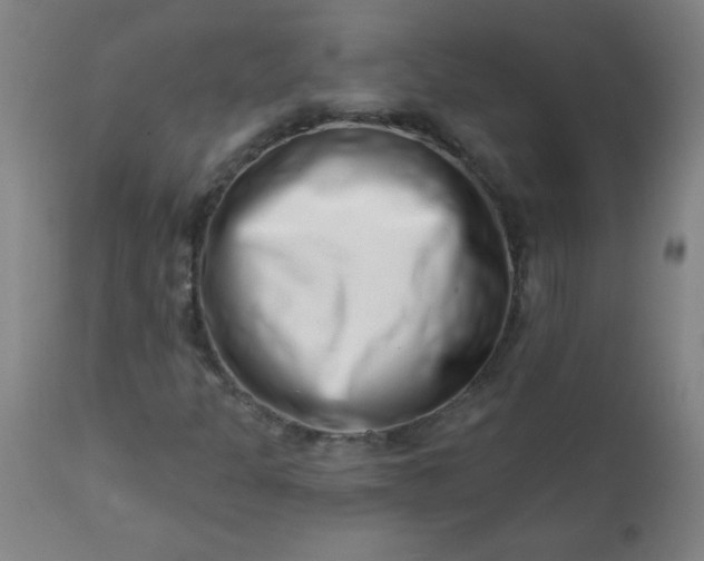 X0000113201301200909241348