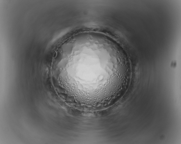 X0000113201302200909241348